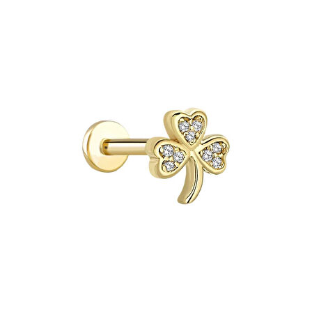 Kalp Yaprak Tragus Piercing
