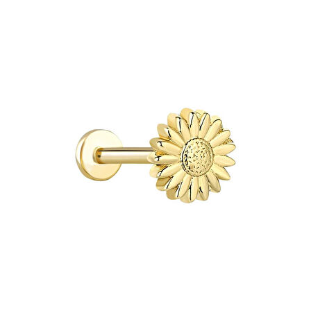 Ayçiçeği Tragus Piercing