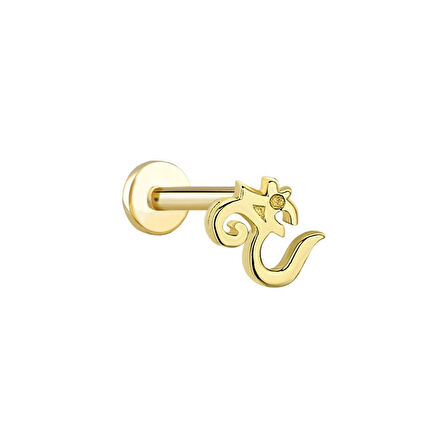 Burgu Tragus Piercing