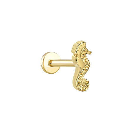 Deniz Atı Tragus Piercing