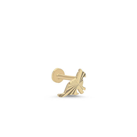 Kalemli Kedi Tragus Piercing
