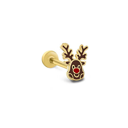 Geyik Tragus Piercing