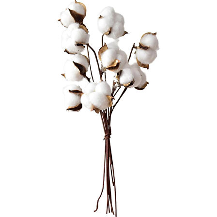 3lü Set Doğal Pamuk Çiçeği 30 Adet Tekli Dal Kuru Çiçek 30cm Yapay Çiçek