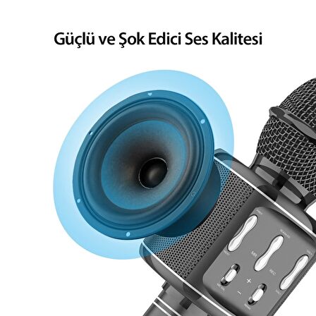 Earldom MC2 Led Işıklı Karaoke Mikrofon