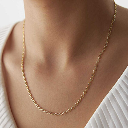 Zarif Deniz Kabuğu  Zincir