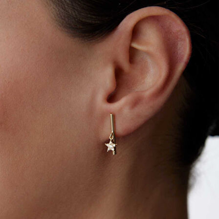 Çubuk Üstü Yıldız Küpe