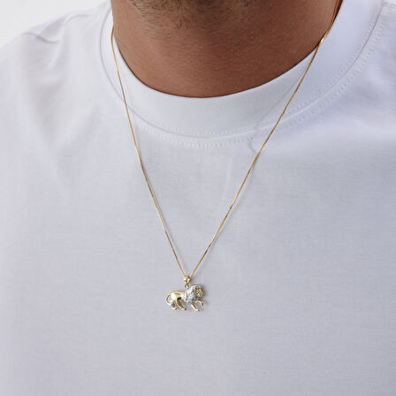 Minimal Aslan Erkek Kolye