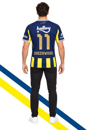 Fenerbahçe Orijinal Lisanslı Greenwood Forması Lazer Kutu Hediyeli