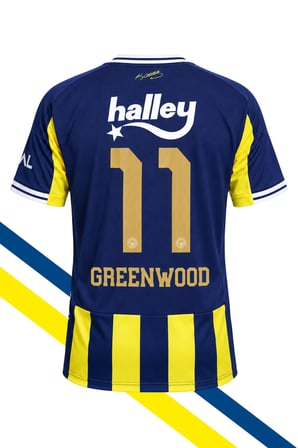 Fenerbahçe Orijinal Lisanslı Greenwood Forması Lazer Kutu Hediyeli