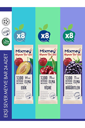 Mixmey Ekşi Sever Meyve Bar 24 Adet | Vegan,Glutensiz, Sağlıklı Vegan Atıştırmalık - 20gr X 24 Adet