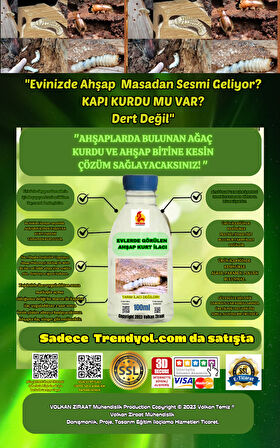 AĞAÇ KURDU MOBİLYA KURDU İÇİN ÇOK ETKİLİ GECE CIRT CIRT SES YAPAN BÖCEK İLACI