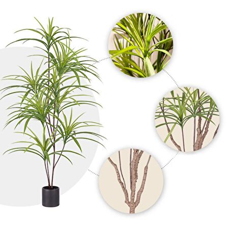 Yapay Ağaç Dracaena Ağacı 8Gövdeli 180cm Premium Kalite