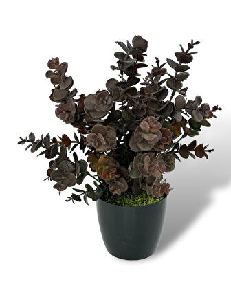 Yapay Çiçek Siyah Saksıda Okaliptus Şimşir Demeti Pudralı Pastel Kahverengi Dekoratif Yapay Bitki