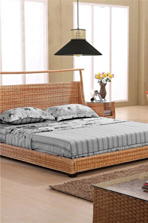 ŞİRA TEKLİ RATTAN SARKIT