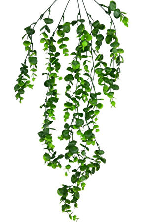 Yapay Çiçek 5dal Sarkan Okaliptus Şimşir Yapay Sarmaşık 70cm