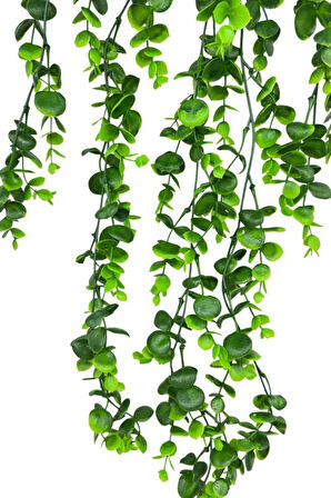 Yapay Çiçek 5dal Sarkan Okaliptus Şimşir Yapay Sarmaşık 70cm