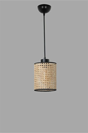 APRİL TEKLİ RATTAN SARKIT