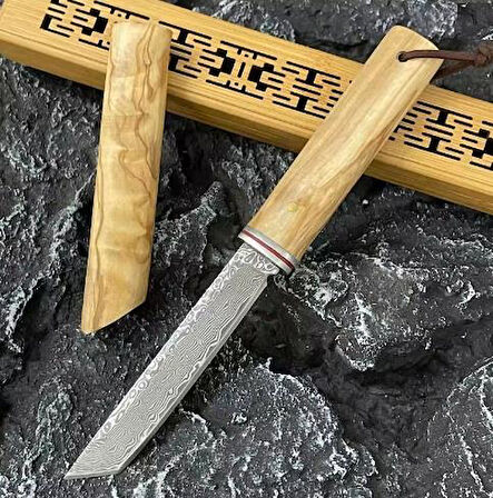 Damascus Tanto Japon EDC Zeytin Ağacı Sap