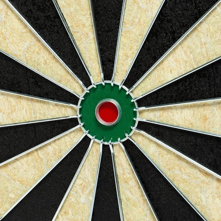 CANAVERAL Dart Tahtası - Çelik Uçlu Oklara Uygun - TD500 Classic