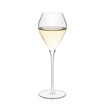 Rona Diverto Şampanya Kadehi - 310 ml - 6'lı Set  | Avrupa Üretimi İthal