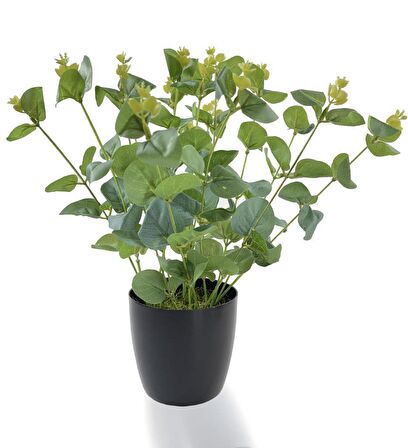 Yapay Çiçek Okaliptus Siyah Plastik Saksılı Dekoratif Süs Çiçeği