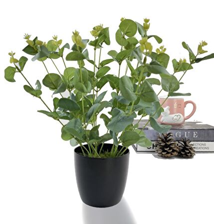 Yapay Çiçek Okaliptus Siyah Plastik Saksılı Dekoratif Süs Çiçeği