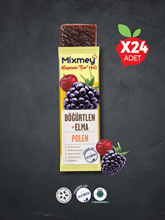 Mixmey Bee Böğürtlen Ve Polen Meyve Bar 24 Adet | Glutensiz Vejetaryen Bar - 25gr X 24 Adet