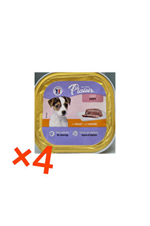 Plaisir TAVUKLU YAVRU KÖPEK KONSERVESİ 150 GR X4 ADET