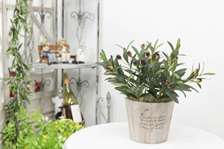 Yapay Zeytin Ağacı Saksıda 40cm 5 Dallı 10 Meyveli Yapay Çiçek Artificial Olive