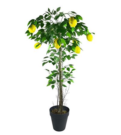 Yapay Limon Ağacı 130cm 8 Limonlu Doğal Görünümlü Siyah Plastik Saksılı Yapay Ağaç