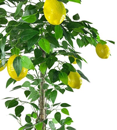 Yapay Limon Ağacı 130cm 8 Limonlu Doğal Görünümlü Siyah Plastik Saksılı Yapay Ağaç