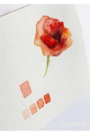 Mondeluz 3720/41 3,8 Mm Çekirdekli Suluboya (aquarell) Pastel Boya Kalemi 1 Adet