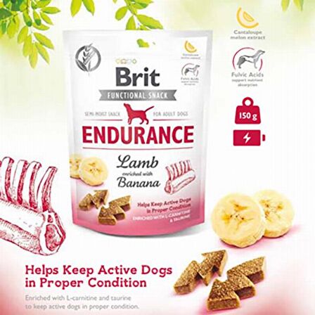 Brit Care Endurance Kuzu Etli - Muzlu Yetişkin Ödül Maması 150 gr 