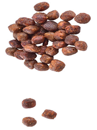 Yavru Kedi,Hamile Veya Emziren Kediler İçin,Tahılsız,Tavuk Ve Hindili Mama 7 kg