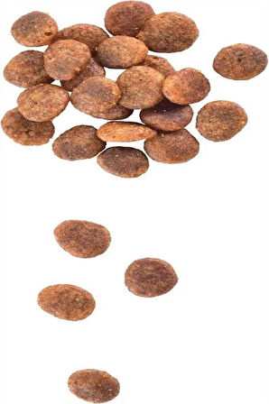 Yetişkin Hassas Kediler İçin, Tahılsız, Hipoalerjenik,Hindi Etli Ve Somonlu Mama 7 kg