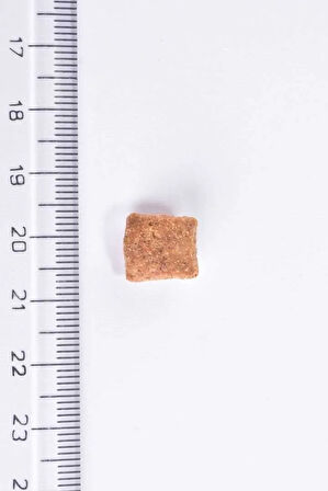 İdrar Yolu Problemi Olan Kısırlaştırılmış Kediler İçin,Tahılsız,Tavuk Etli Mama 7 kg