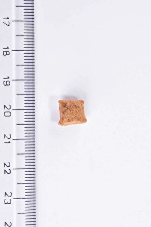 Kilo Kontrolü İhtiyacı Olan Kısırlaştırılmış Kedi,Tahılsız,Taze Ördek Etli Ve Hindi Etli Mama 7 kg