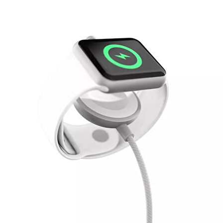 Epico Apple Watch Şarj Kablosu USB-C 1.2 metre - Gümüş