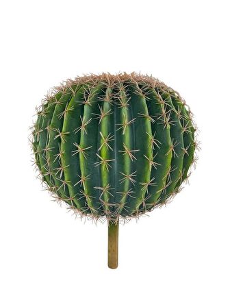 Yapay Çiçek Echinocactus Grusonii Altın Fıçı Kaktüs  35*35cm Cactüs  sk4011