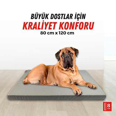 XPERMATE Patiminder Köpek Yatağı  Büyük Irk Köpek Yatağı Büyük Köpek Yatakları 80x120 cm