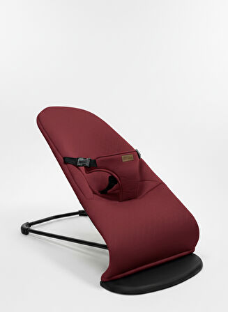 Baby Home 390 3 Kademeli Sallanır Ana Kucağı