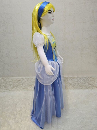 Sindirella Kostümü