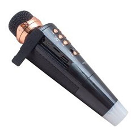 Everton RT-704 Wireless-TF-Aux Kablosuz Karaoke Mikrofon