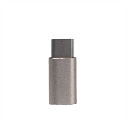 Metal 01 Type-C Dönüştürücü Gold