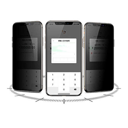 Apple iPhone 12 Pro Max Uyumlu Davin 5D Privacy Cam Ekran Koruyucu