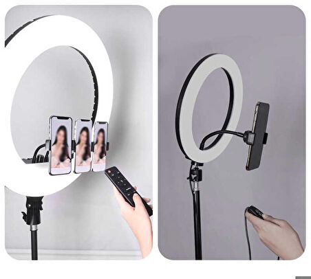 RL-21 Işıklı Telefon Tutucu Ring Light