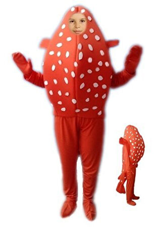 Balon Balığı Kostümü