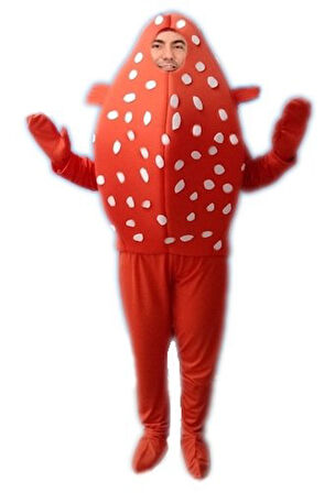 Balon Balığı Kostümü Yetişkin