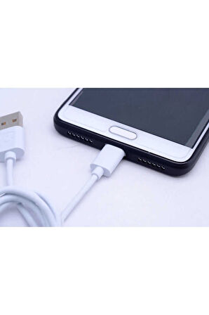 Zore Gold Type-C Usb Kablo Z-04