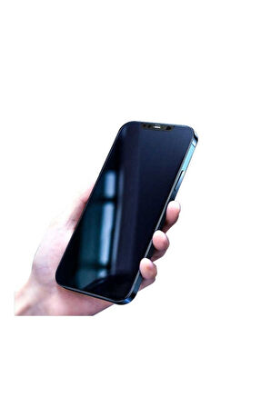Apple iPhone 12 Pro Uyumlu Zore Secret Temperli Cam Ekran Koruyucu